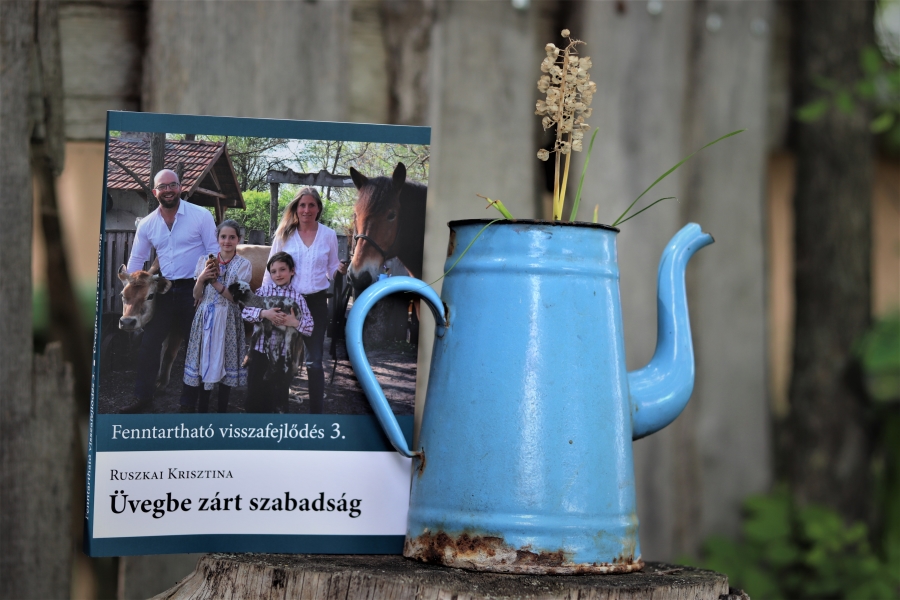 tanyaegyetemwebshop